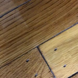 Meet your Posher, Harsh